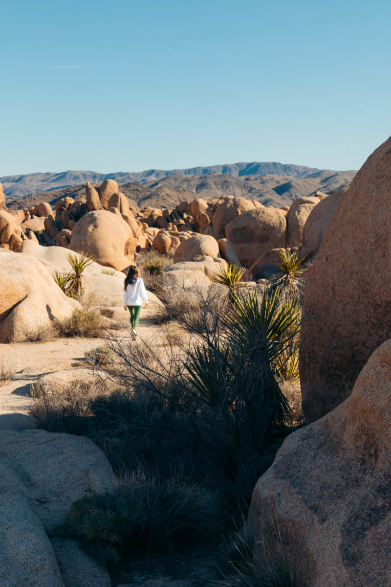 Weekend In Joshua Tree National Park Guide And To Day Itinerary