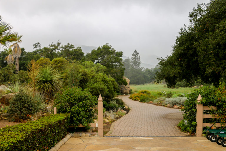 santa barbara botanic garden        
        <figure class=