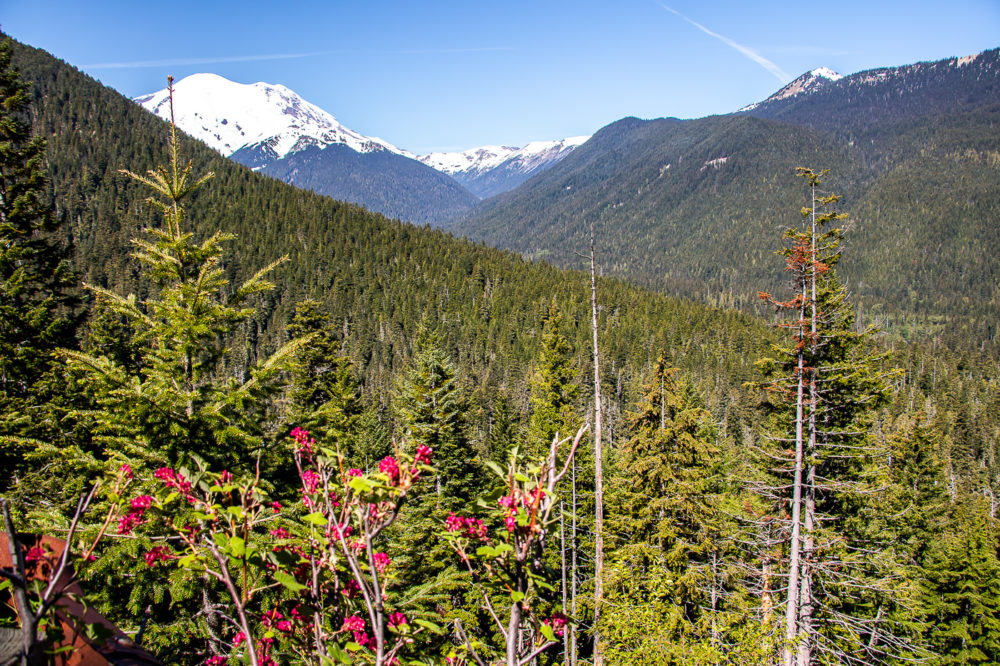 Mount Rainier, Weekend getaways and road trips from Spokane - Roads and Destinations