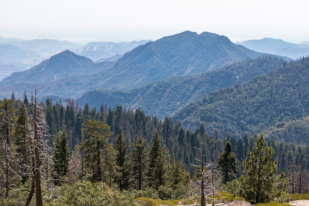 Where to Stay in Sequoia and Kings Canyon - Roads and Destinations 