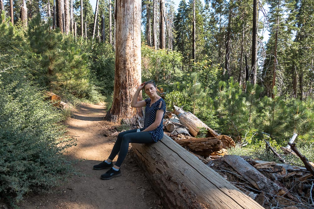 Where to Stay in Sequoia and Kings Canyon - Roads and Destinations