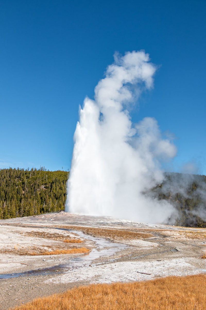 Visit Old Faithful in Yellowstone (Complete Guide, Tips, and Facts ...