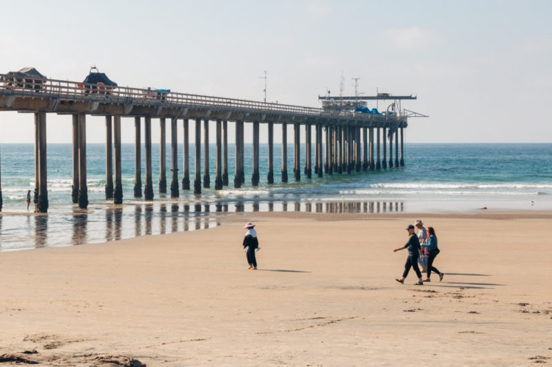 How to Spend One Day in La Jolla: Guide, Itinerary, Tips, and Map ...