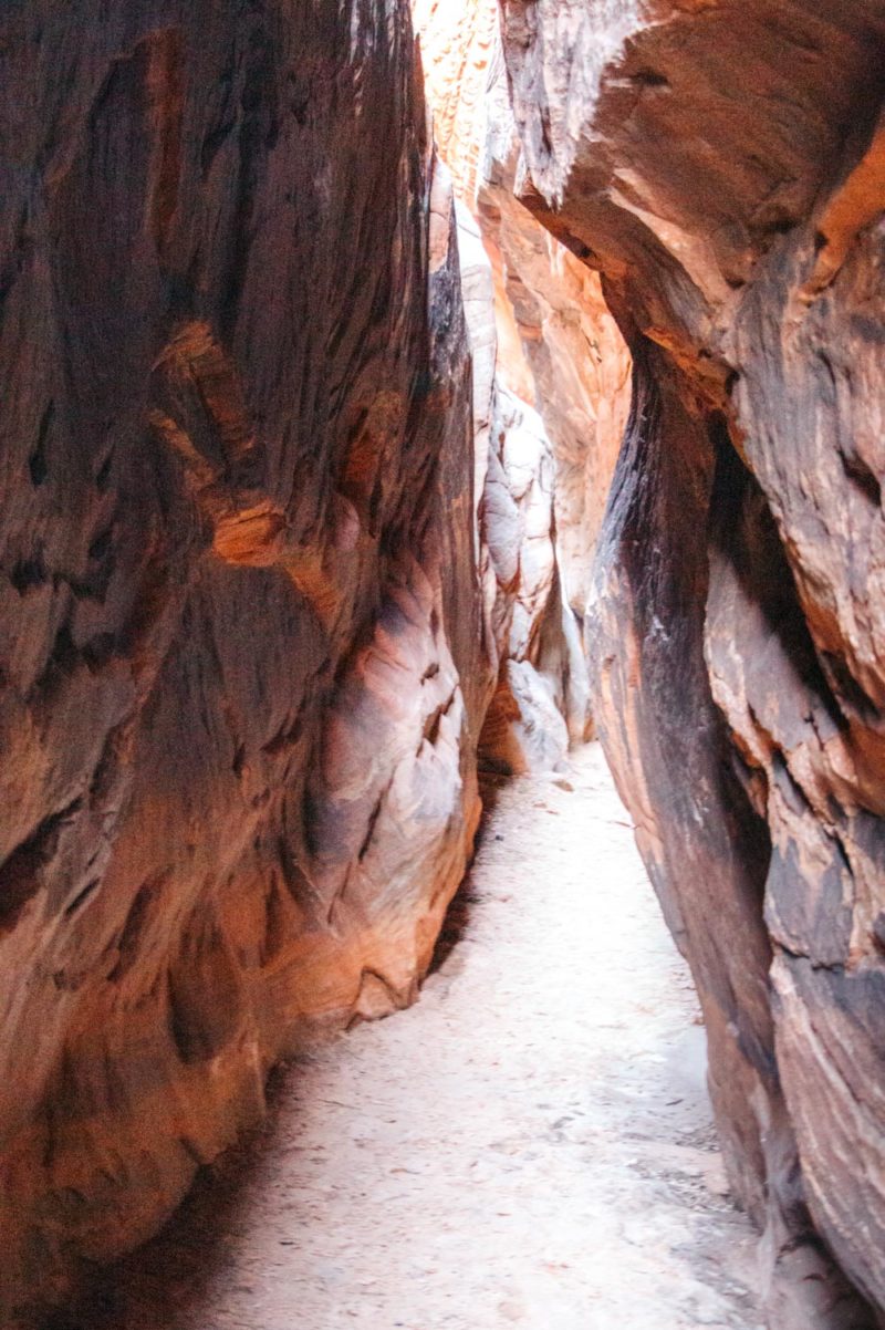 Zion Secret Trails: Shelf Canyon Hike - A Slot Canyon near Canyon 