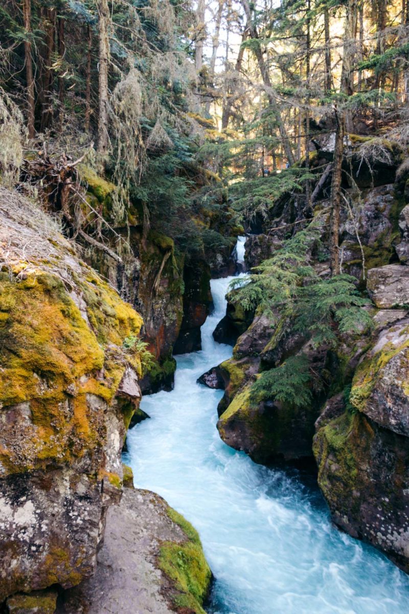 How to Hike to Avalanche Lake in Glacier National Park (+ The Trail of ...