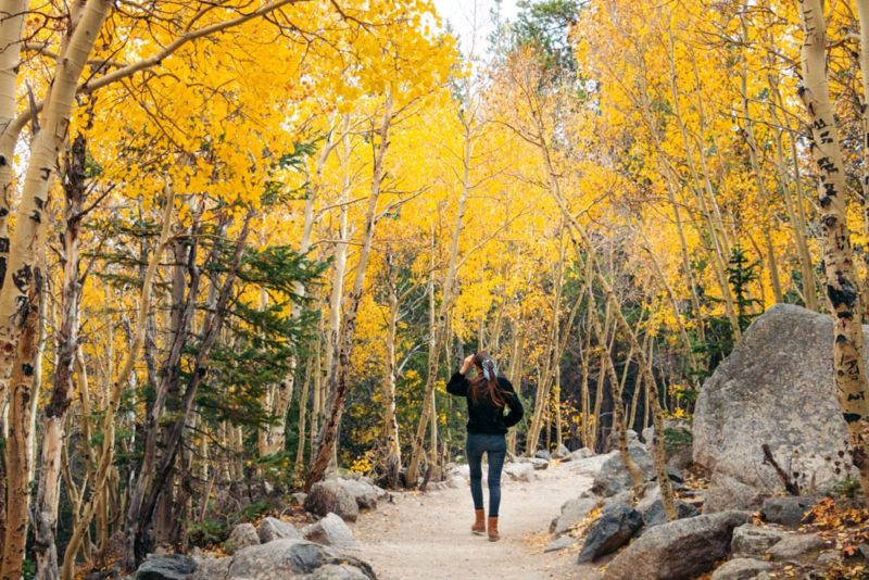 Alberta Falls Hike in Rocky Mountain National Park: 2 Trail Options ...