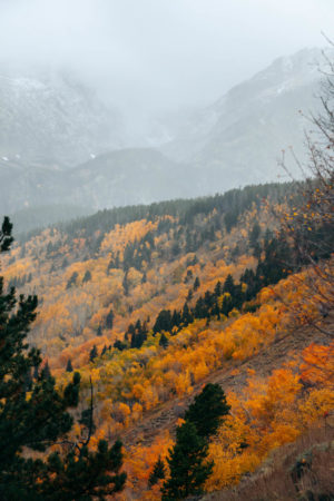 Bierstadt Lake Trail: Hike From Bierstadt Lake Trailhead - Roads And 