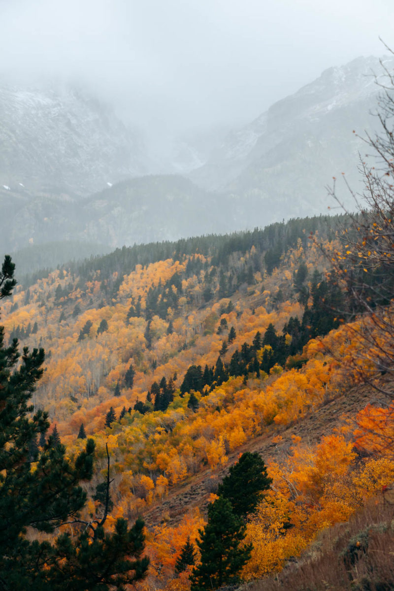 Hike the Bierstadt Lake Trail from the Bierstadt Lake Trailhead - Roads ...