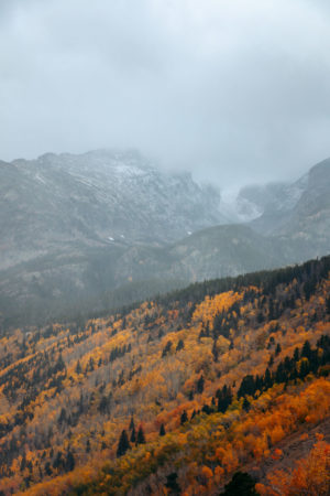 Hike the Bierstadt Lake Trail from the Bierstadt Lake Trailhead - Roads ...