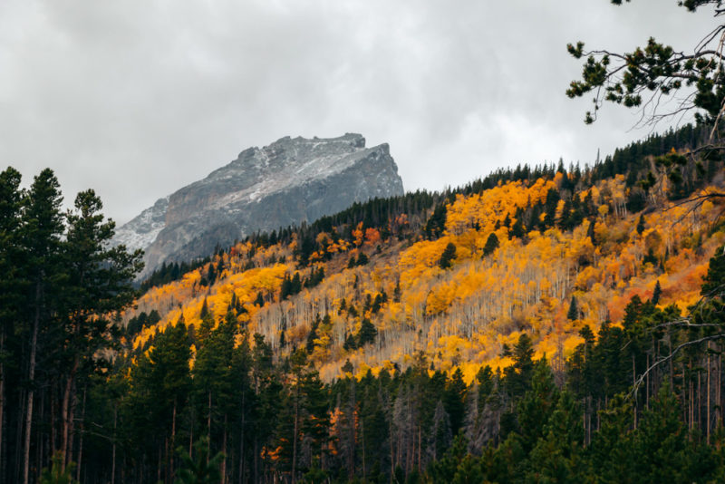 Bierstadt Lake Trail: Hike from Bierstadt Lake Trailhead - Roads and ...