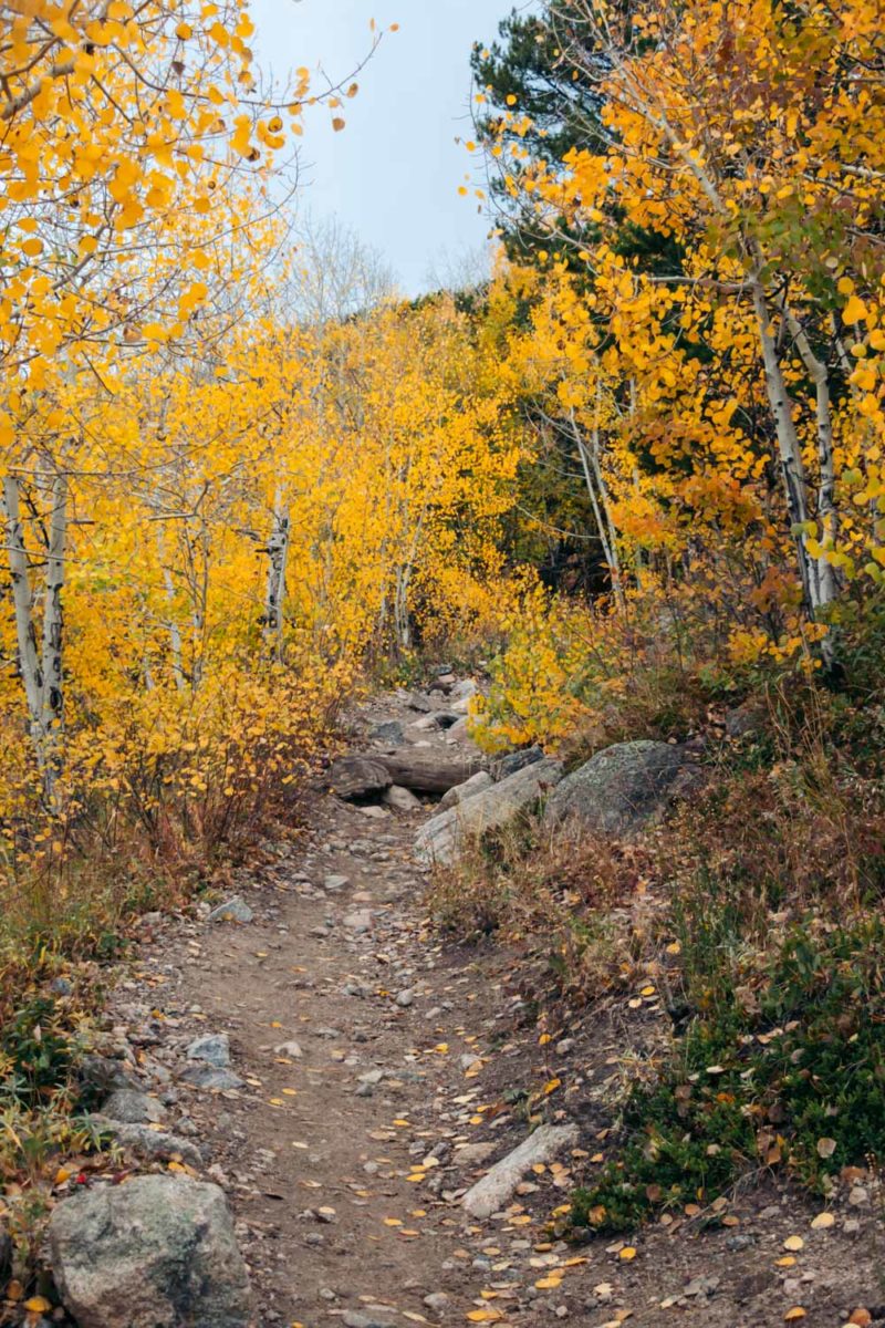 Bierstadt Lake Trail: Hike from Bierstadt Lake Trailhead - Roads and ...