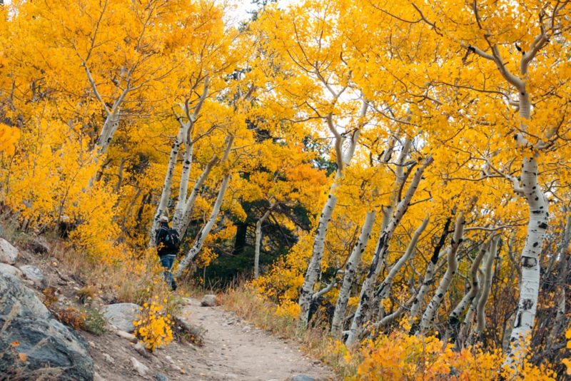 Bierstadt Lake Trail: Hike From Bierstadt Lake Trailhead - Roads And 