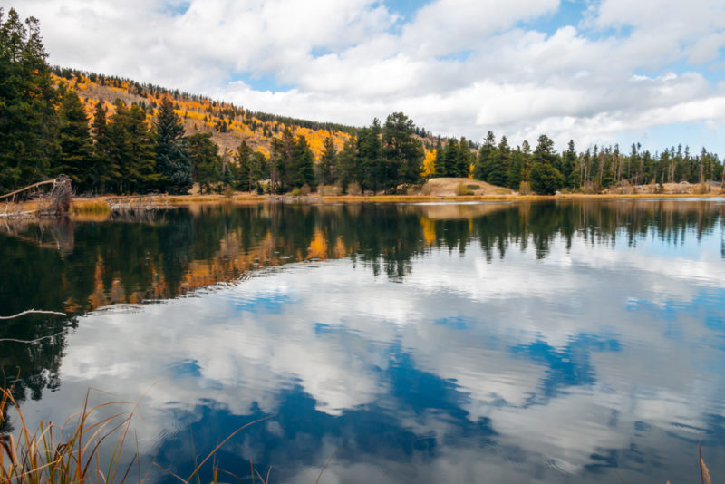 Sprague Lake Trail: Easy Hike in Rocky Mountain National Park (+Photos ...