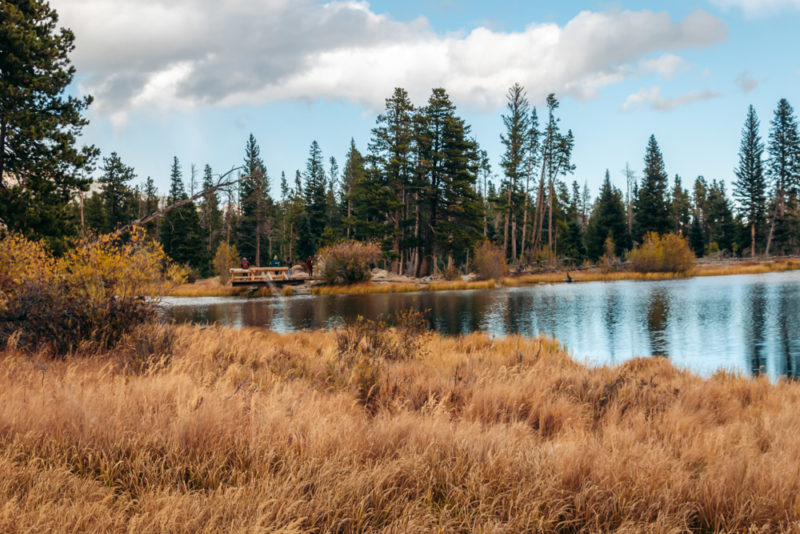 Sprague Lake Trail: Easy Hike in Rocky Mountain National Park (+Photos ...