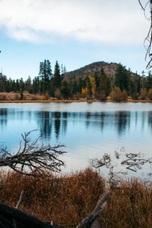 Sprague Lake Trail: Easy Hike in Rocky Mountain National Park (+Photos ...