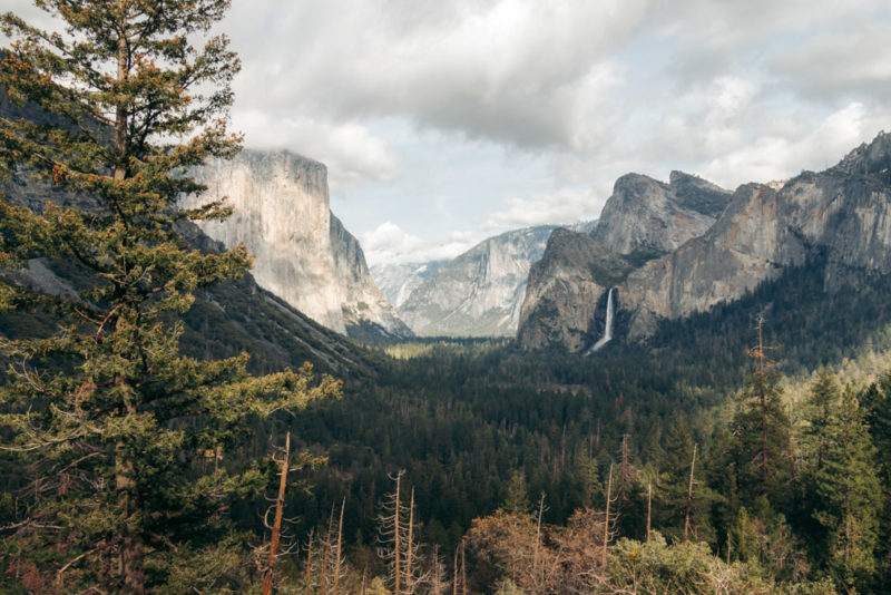 California Road Trip: A 4-Day Adventure in Yosemite, Pinnacles, and Big ...