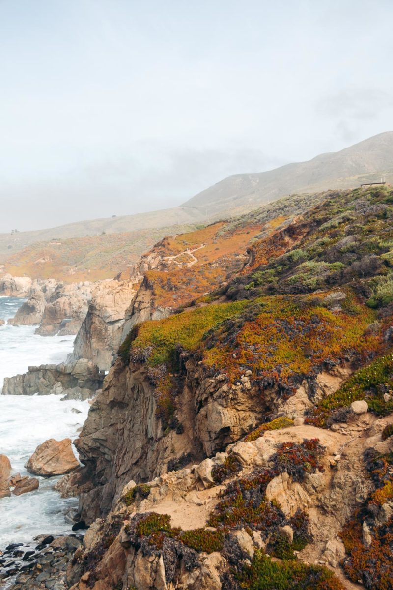 How to Hike Soberanes Point, Whale Peak Trail in Garrapata State Park ...