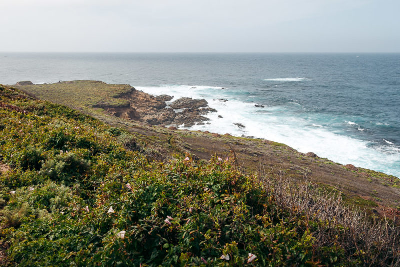 How to Hike Soberanes Point, Whale Peak Trail in Garrapata State Park ...