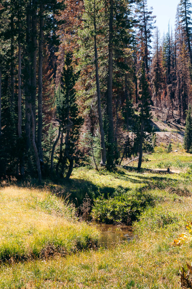 The Best Things To Do In Lassen Volcanic National Park: 1-2 Day ...