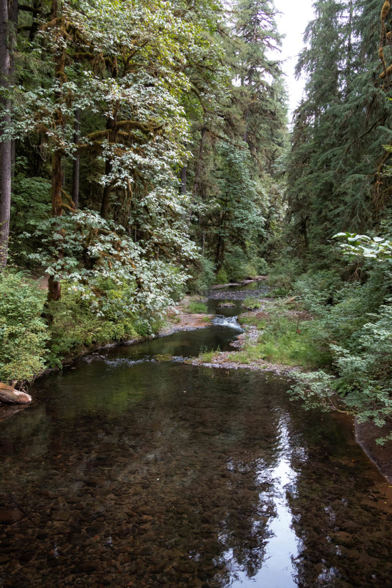 The Trail of Ten Falls in Silver Falls State Park - The Best Waterfall ...