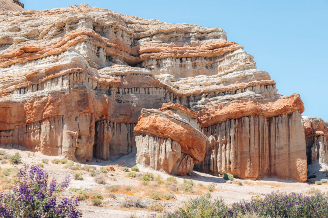 red rock canyon field trip