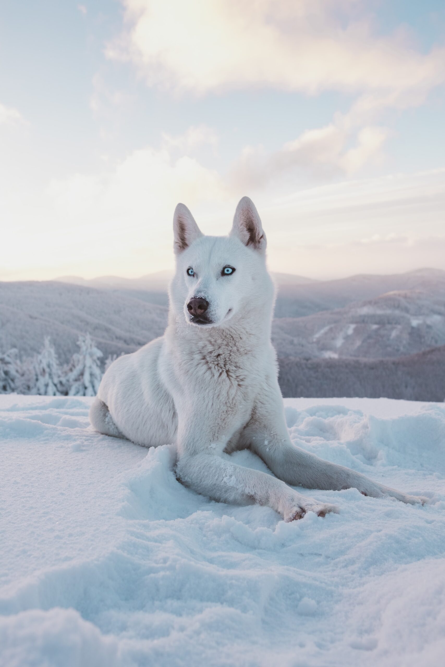 Books to Read before Traveling to Alaska: Classics, Tales, Fiction ...