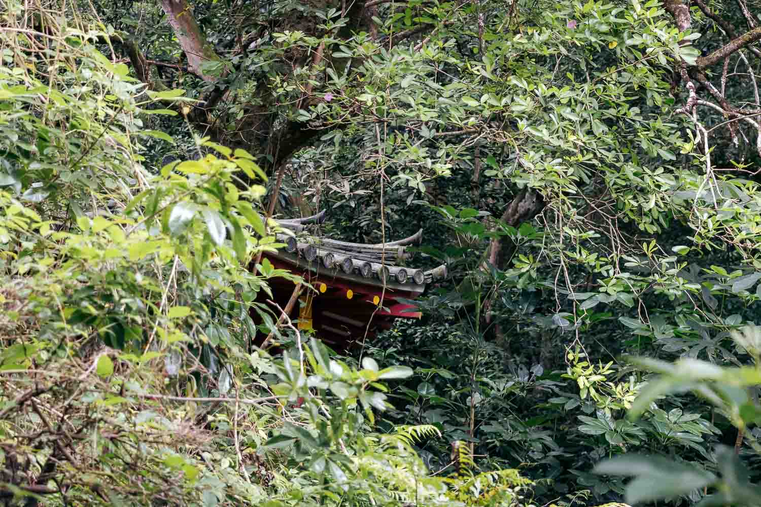 Byodo-In Temple, Oahu | Roads and Destinations