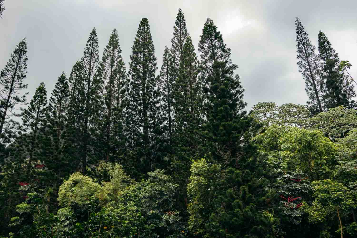 Byodo-In Temple, Oahu | Roads and Destinations