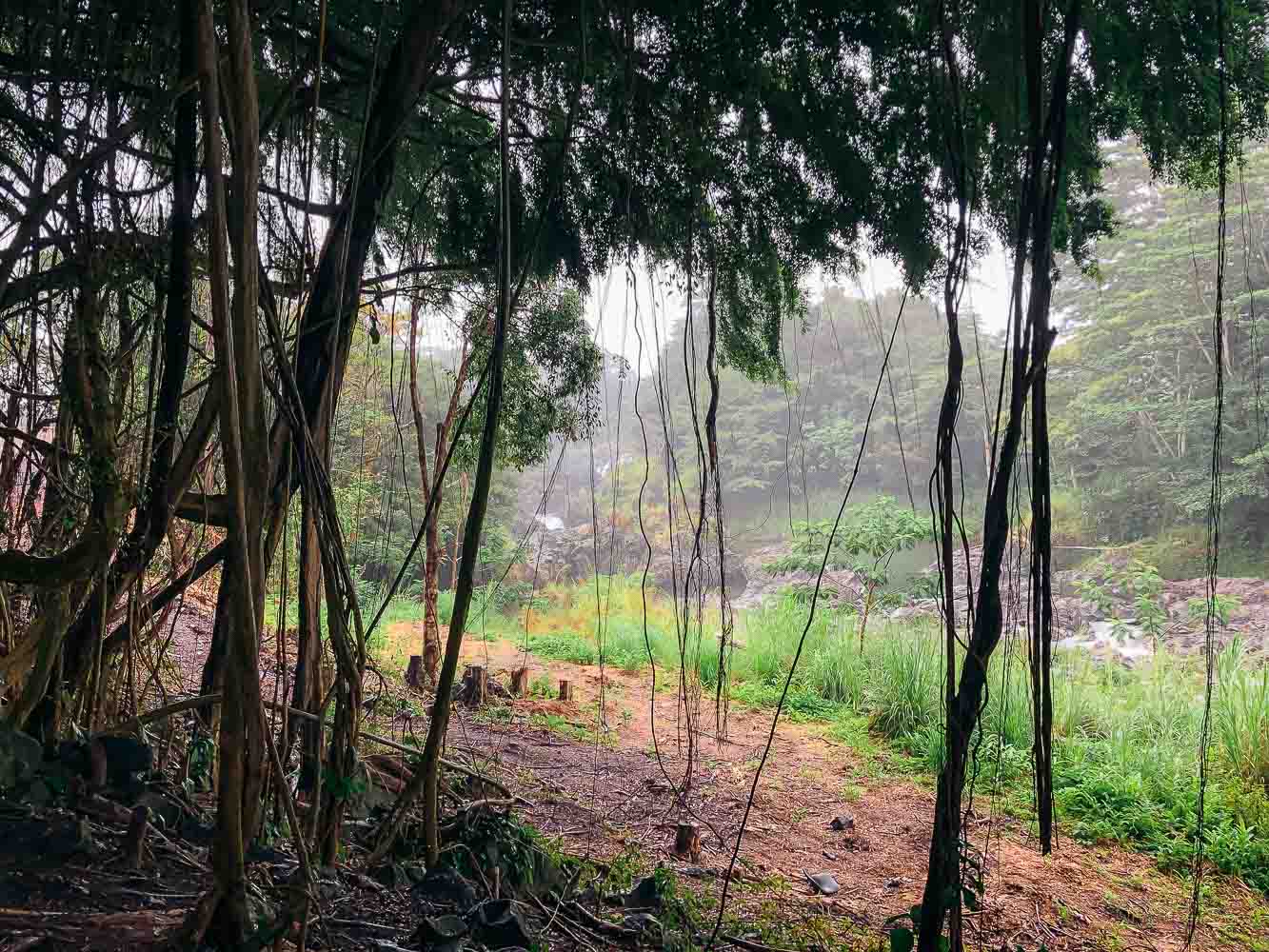 Rainbow Falls in Hilo, Big Island | Roads and Destinations