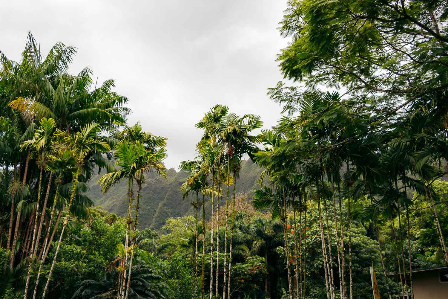 Oahu -- The most developed island or a tropical paradise | Roads and Destinations