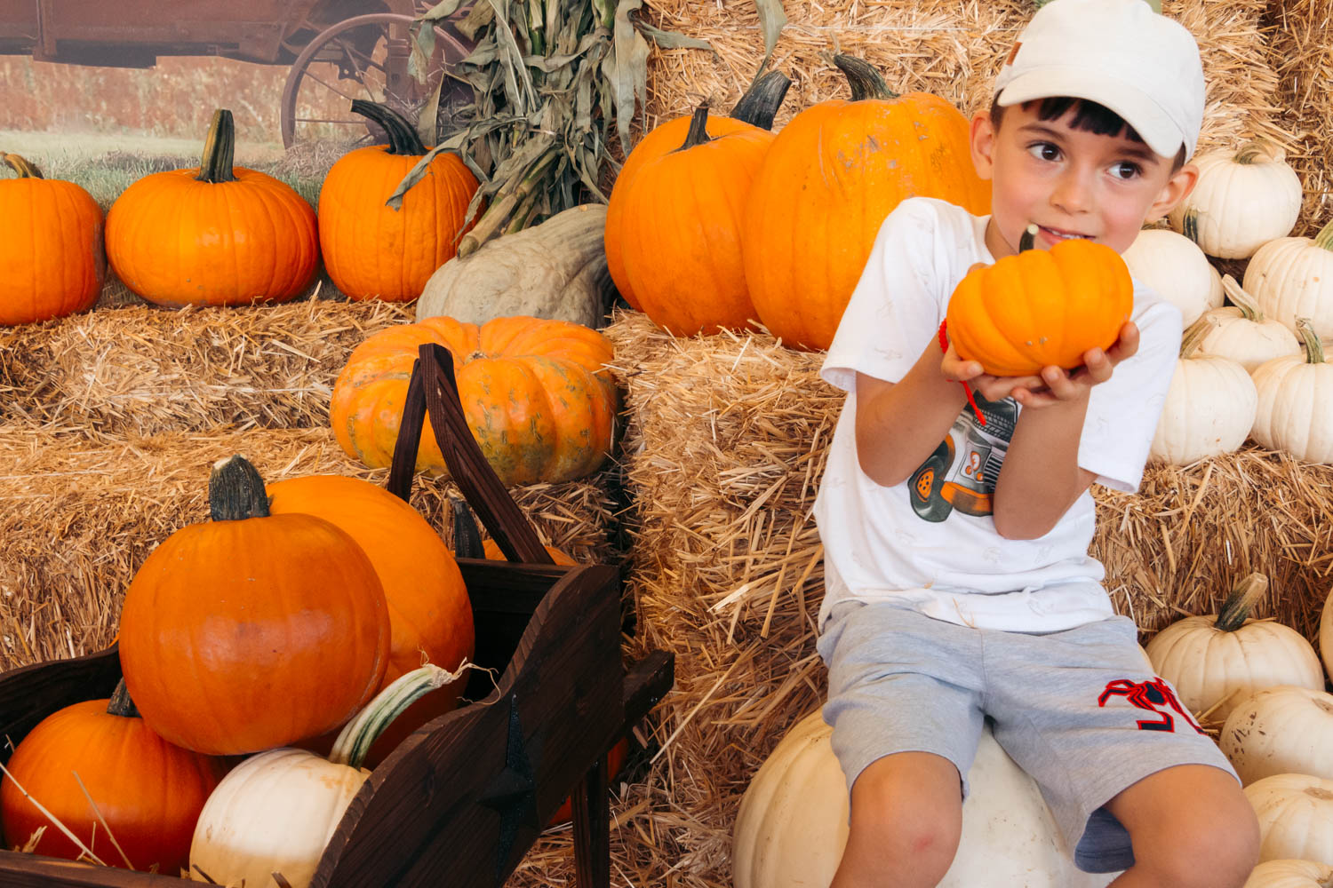 Pumpkin patches in Los Angeles | Roads and Destinations