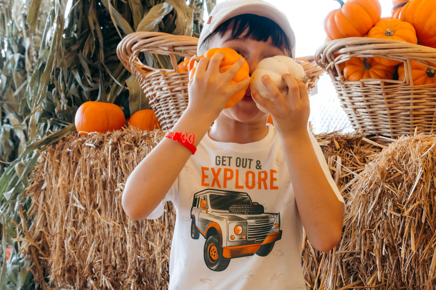 Pumpkin patches in Los Angeles | Roads and Destinations