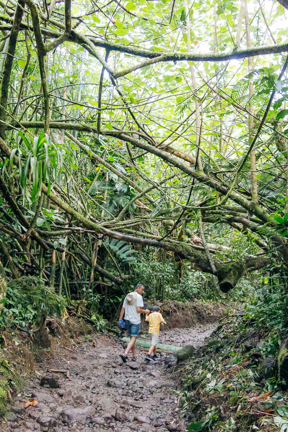 Beautiful, short hikes on Oahu | Roads and Destinations