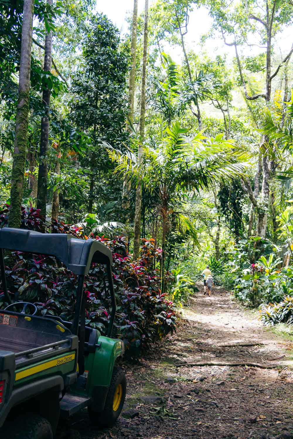 Beautiful, short hikes on Oahu | Roads and Destinations