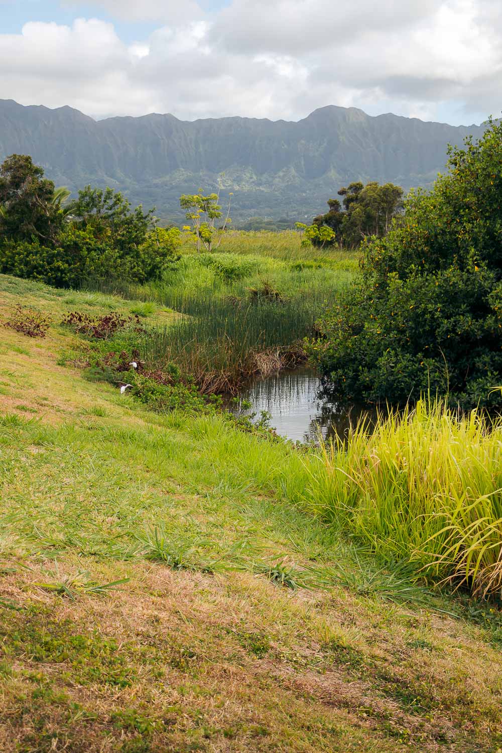 Oahu off the beaten path | Roads and Destinations