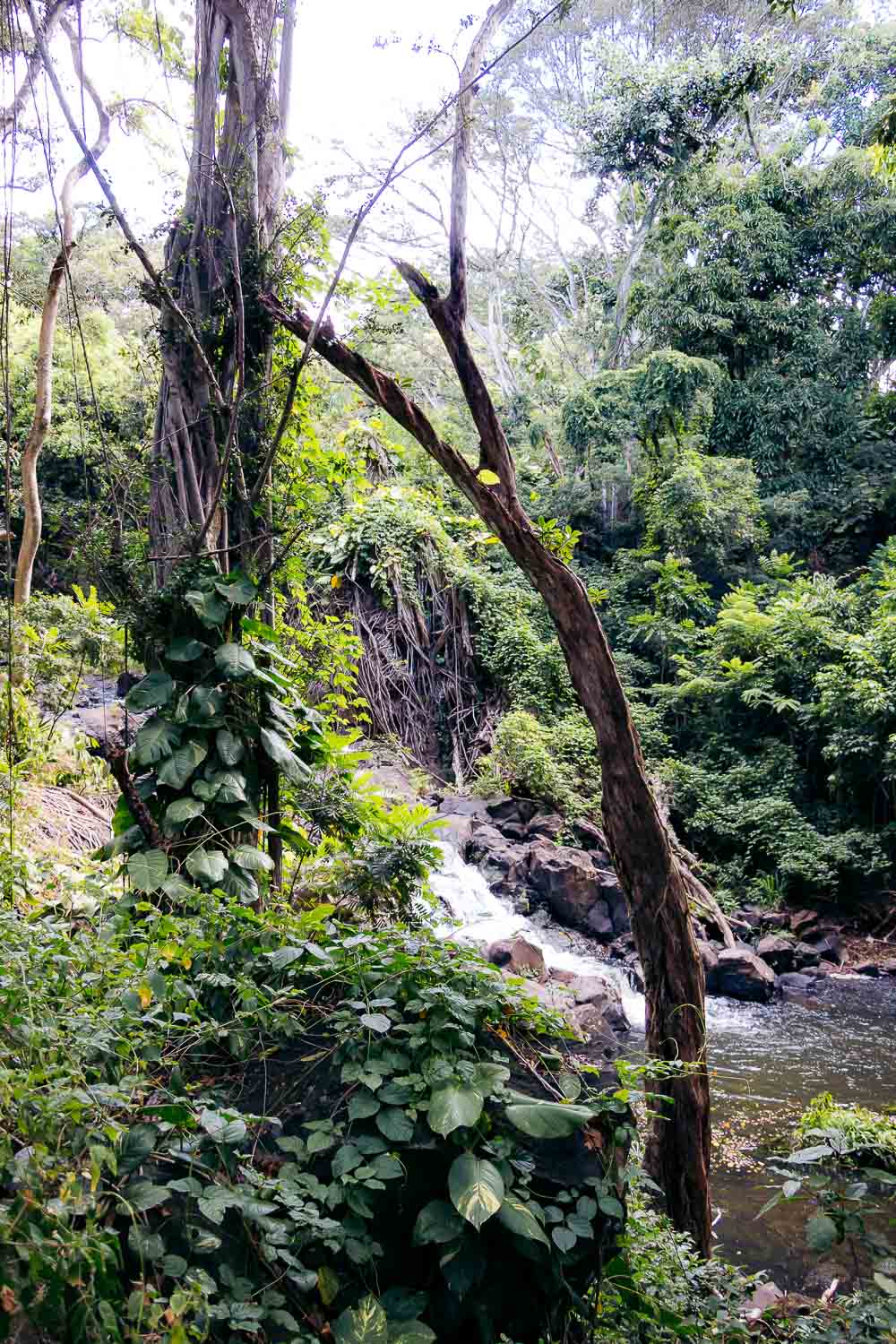 Oahu off the beaten path | Roads and Destinations