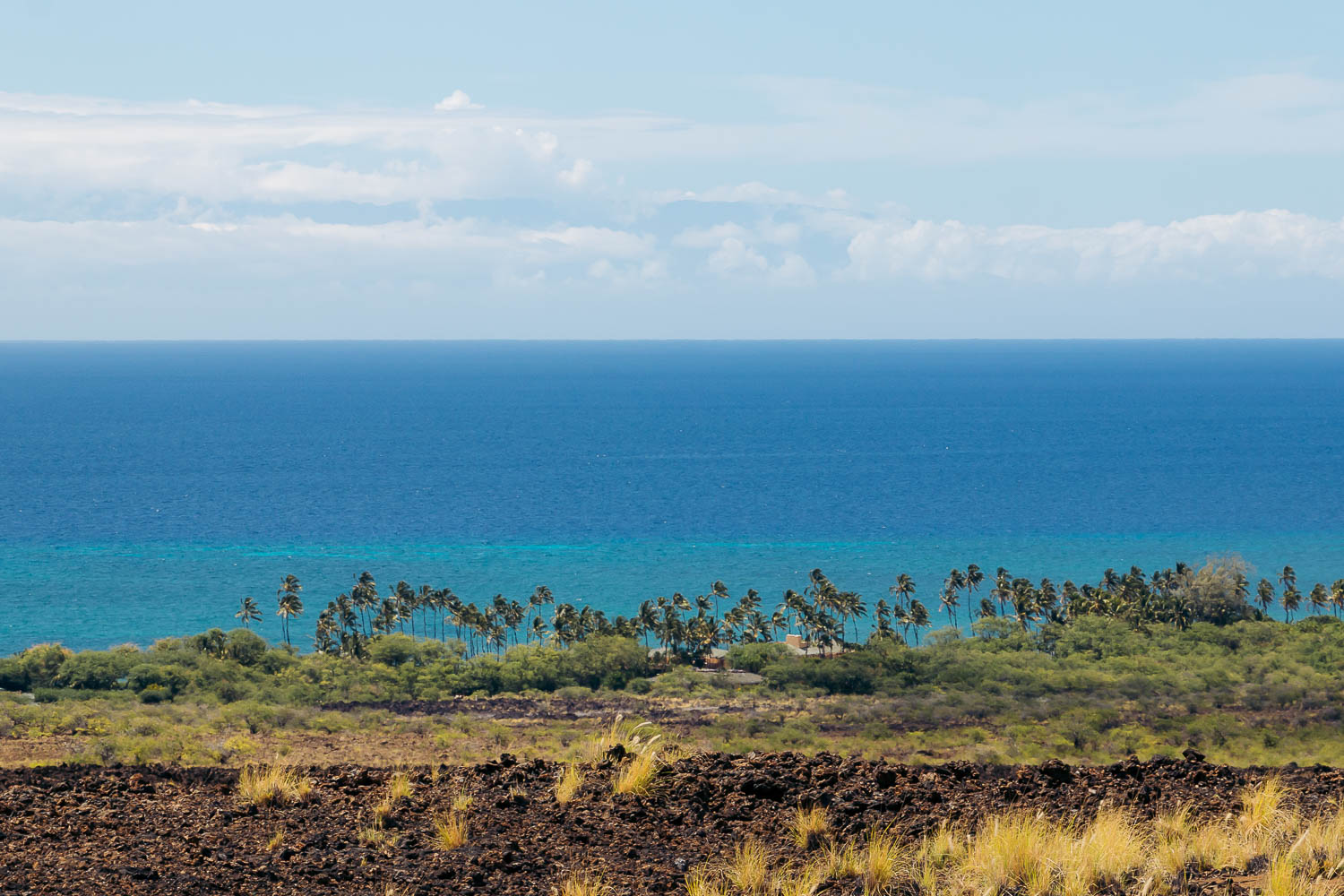 Kona | Roads and Destinations