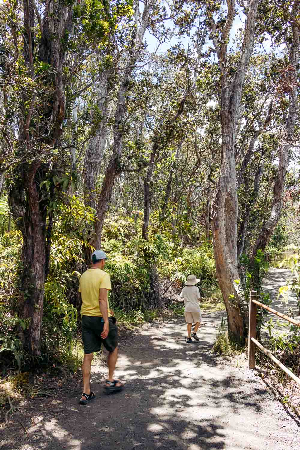 Hawaii Volcanoes National Park | Roads and Destinations