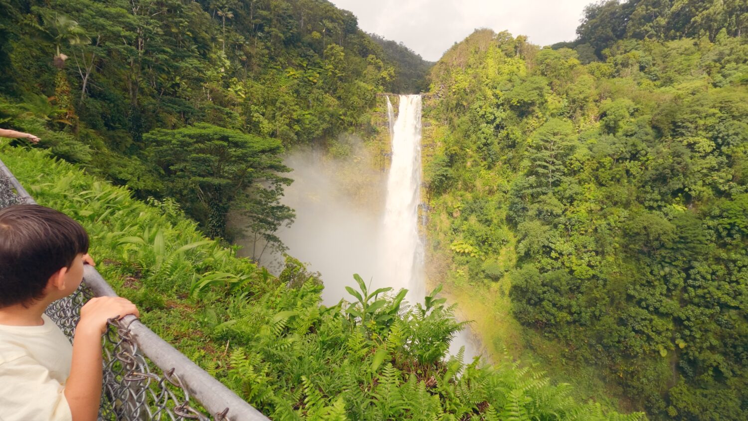 Things to do in Hilo in one day | Roads and Destinations