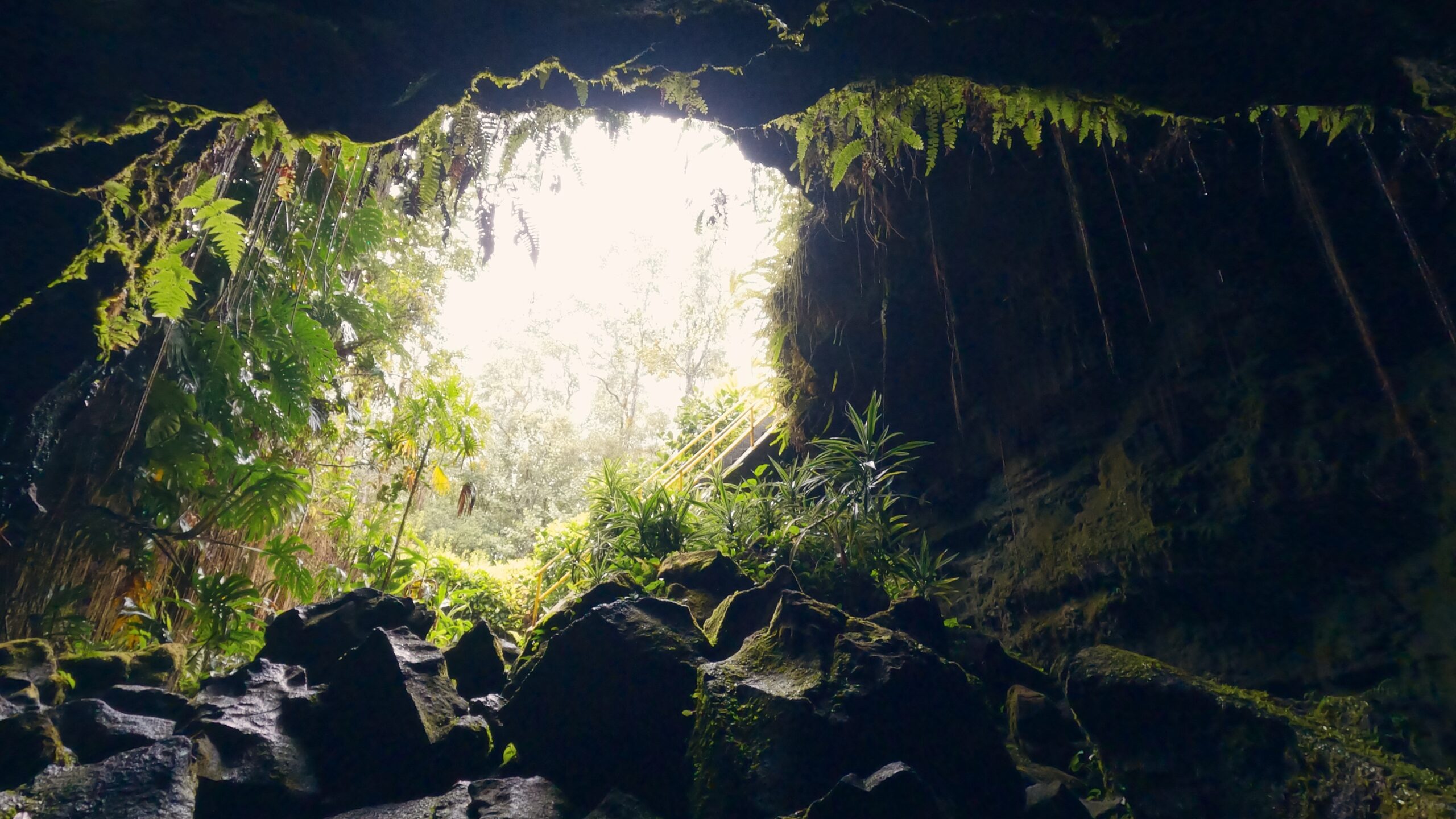 Things to do in Hilo in one day | Roads and Destinations