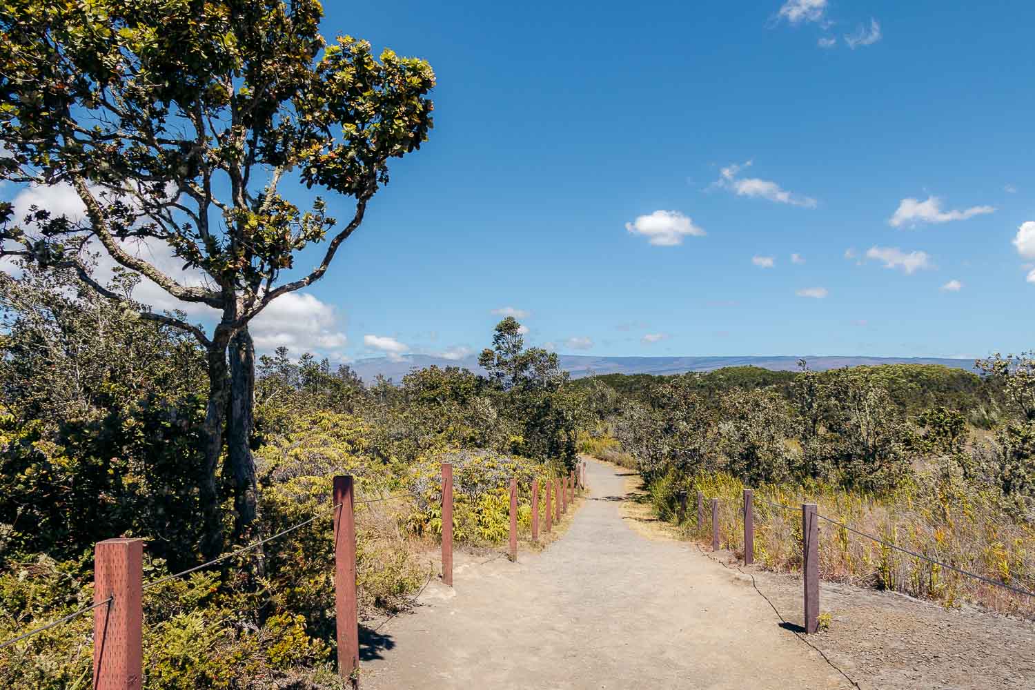 Hawaii Volcanoes National Park | Roads and Destinations