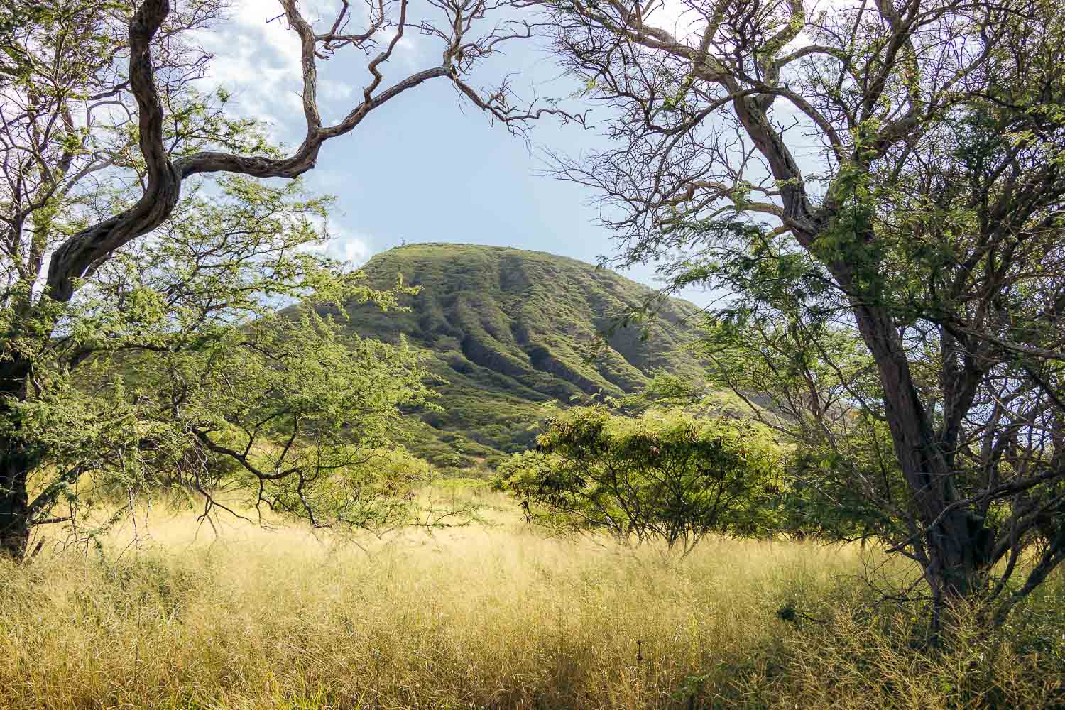 Koko Crater Stairs hike | Roads and Destinations