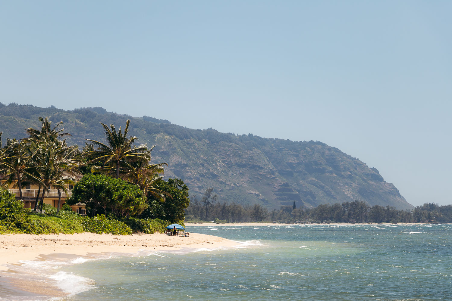 Sea turtles on the North Shore of Oahu | Roads and Destinations