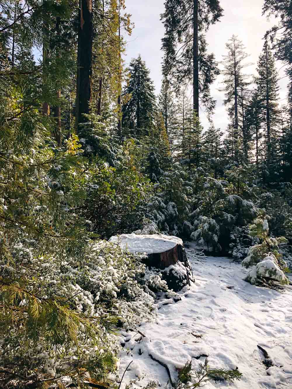 Winter trip to Yosemite | Roads and Destinations