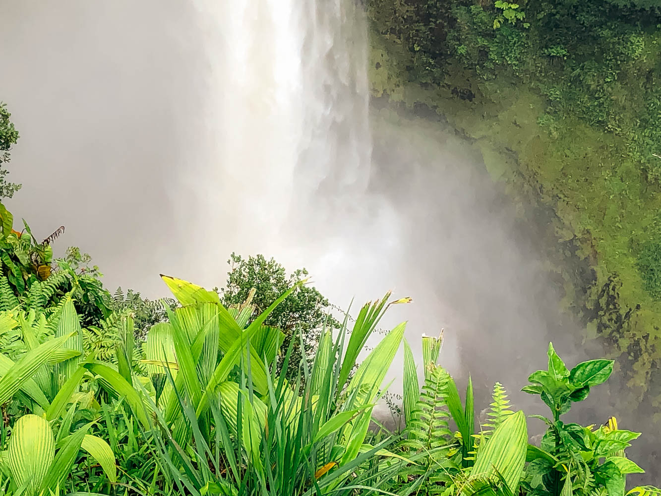 Akaka Falls, Big Island | Roads and Destinations