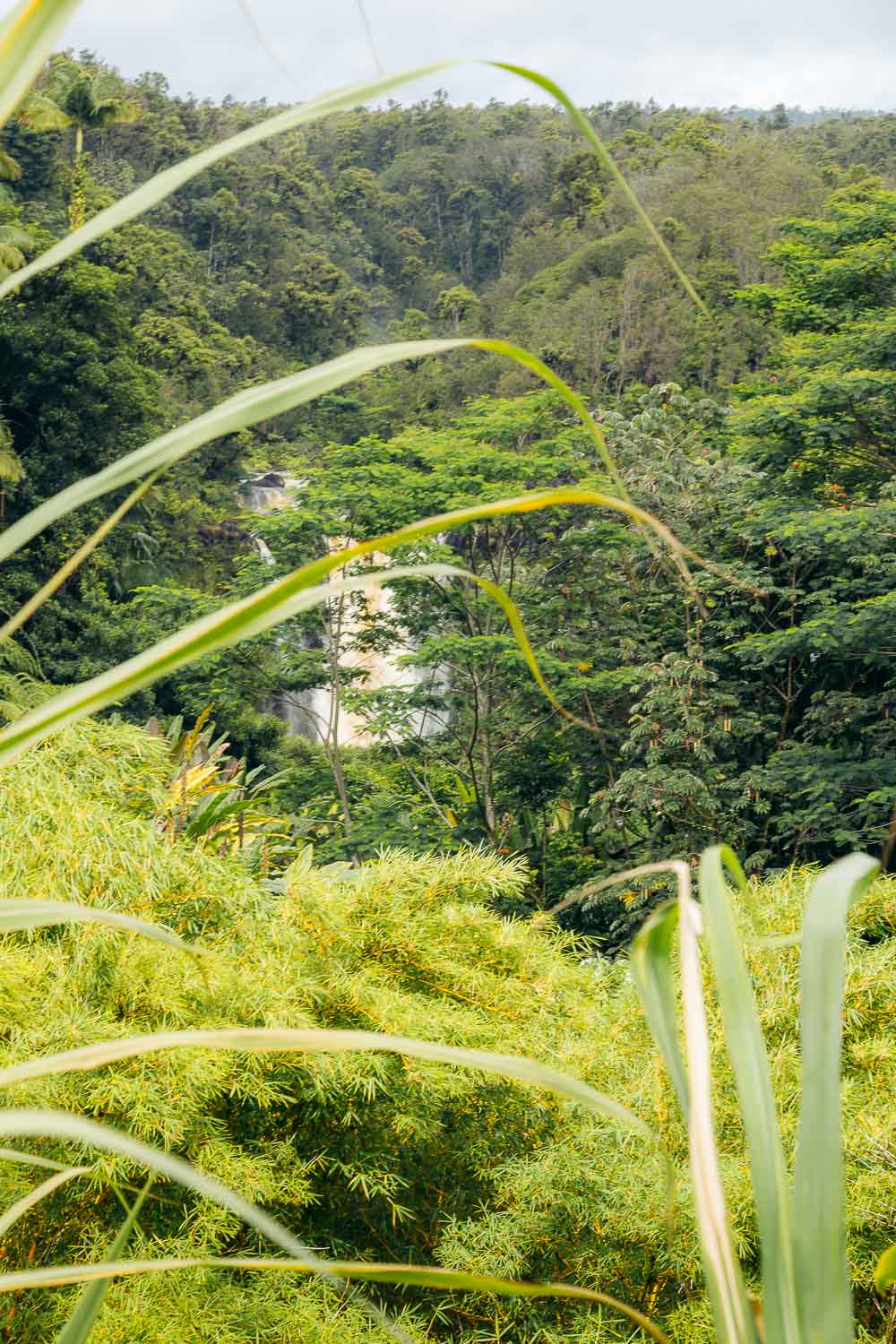 Akaka Falls, Big Island | Roads and Destinations